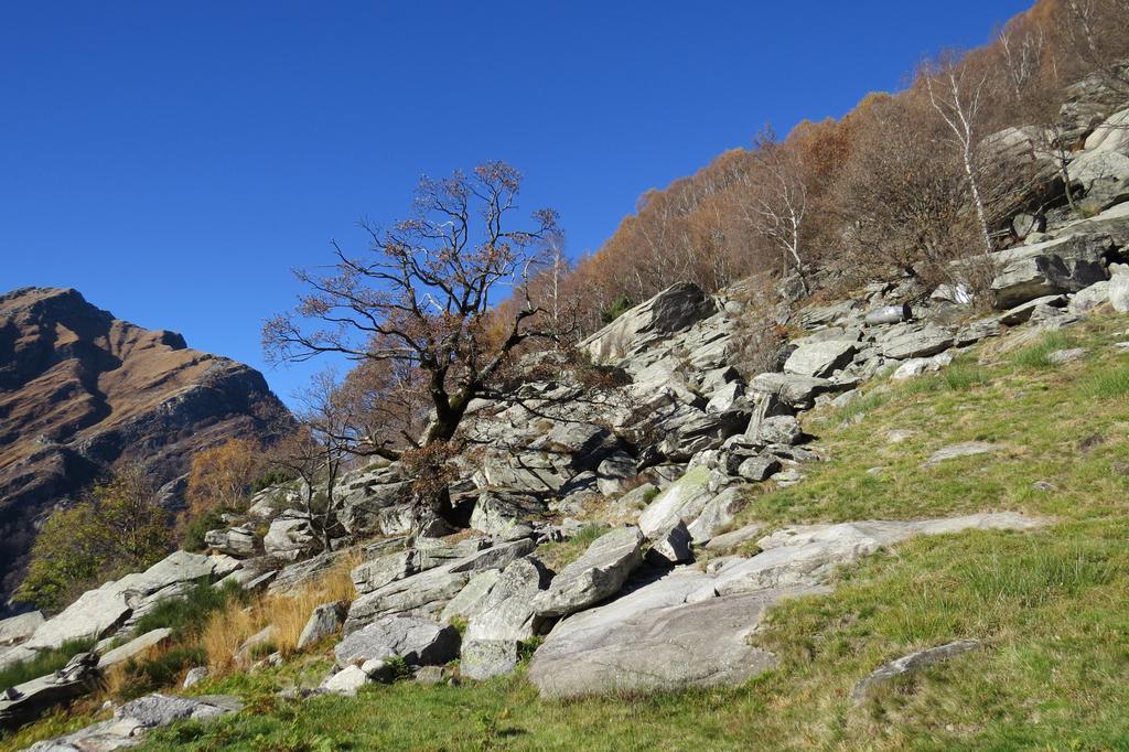 Hotel Pizzo Vogorno Экстерьер фото